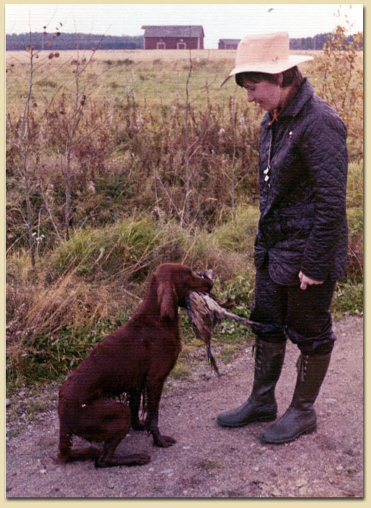 Redseeker Eire, nouto ja luovutus 1973