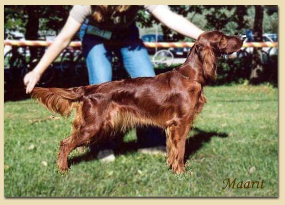 Redseeker Tara 2003