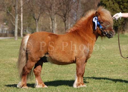 Antti09 (20K)