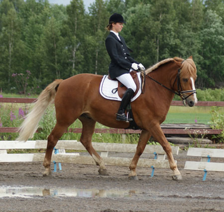 Hohto1 (51K)