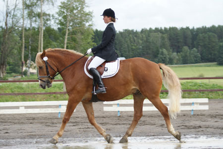 Hohto2 (36K)