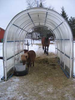 Leevi2 (12K)