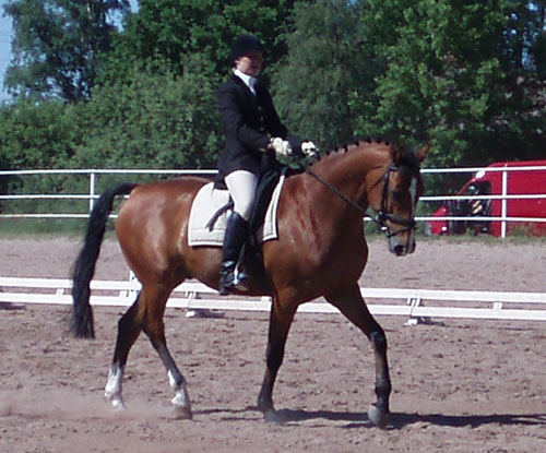 raipep (62K)